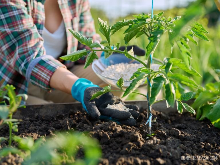 Fertilize For Leaf Growth