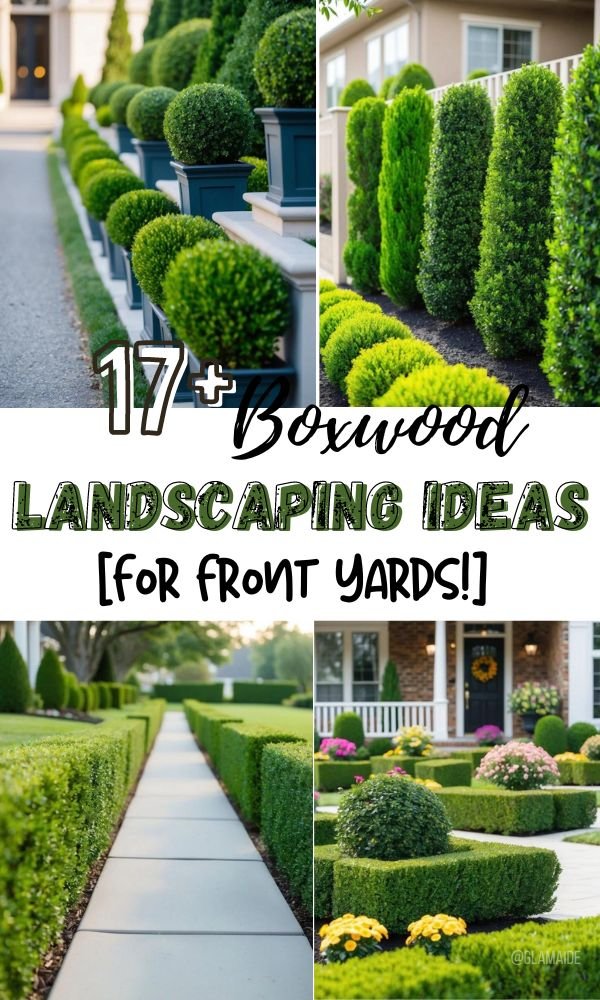 Boxwood Landscaping Ideas