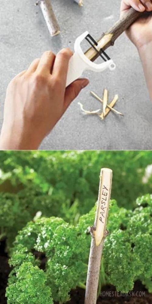 DIY Twig Plant Markers