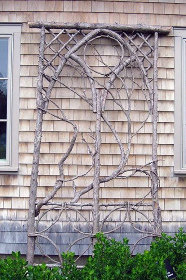 DIY Twig Trellis