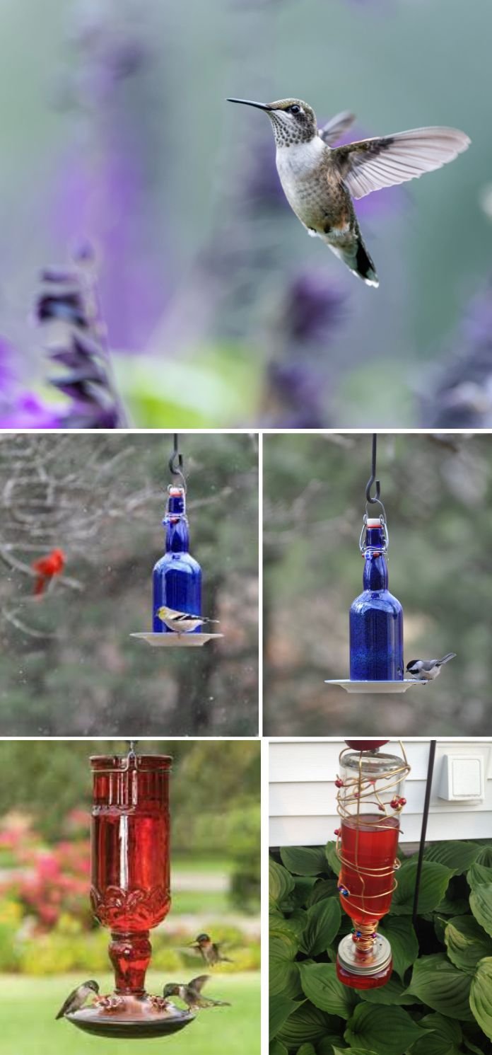 Hummingbird Feeders