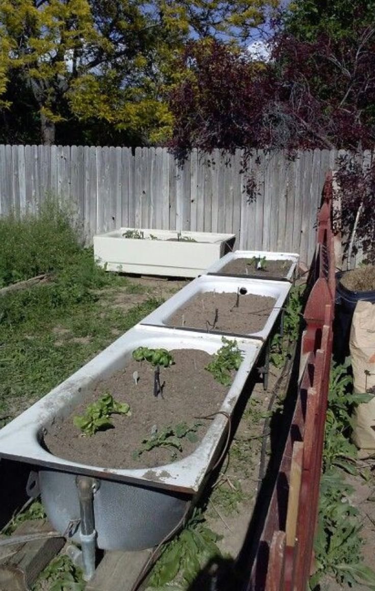 Repurpose A Bathtub Pallets Or Pavers Raised Beds