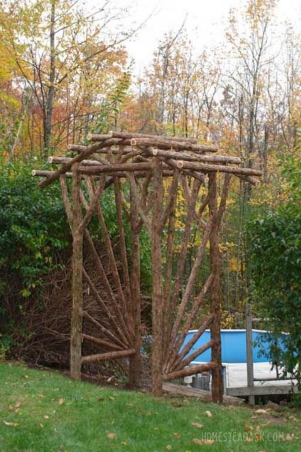 Rustic Twig Arbor